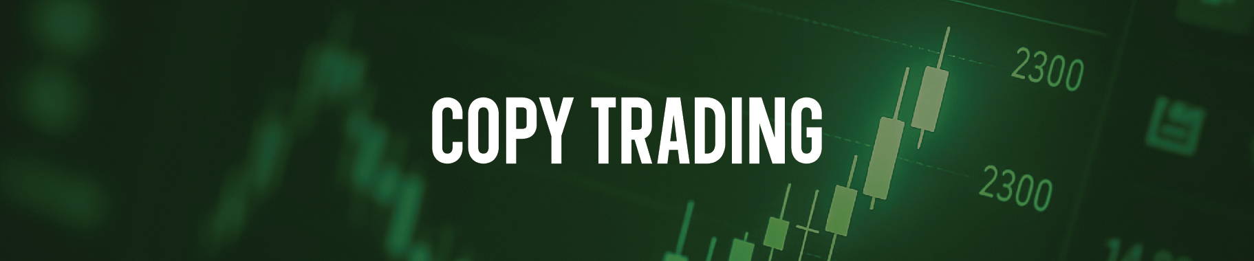 Can You Profit From Trade Mirroring?