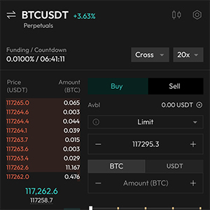 Perpetual Trading Screen - Mobile App